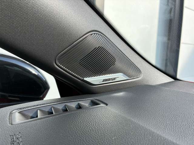 RENAULT LUTECIA 2021 Image 31