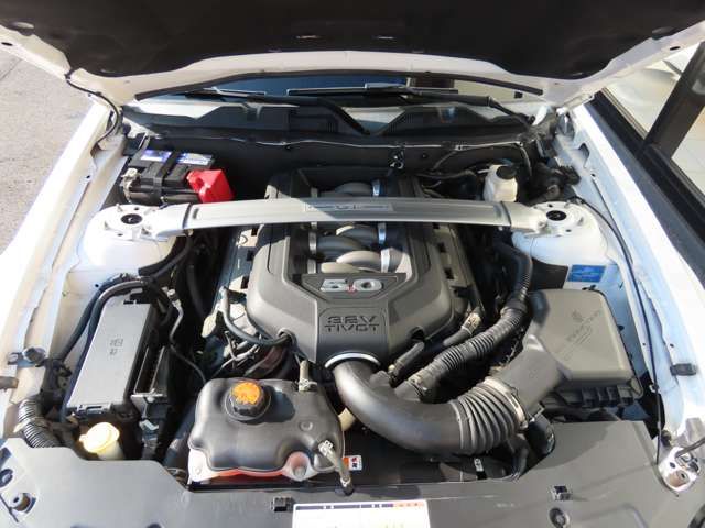 FORD MUSTANG OPEN 2012 Image 31