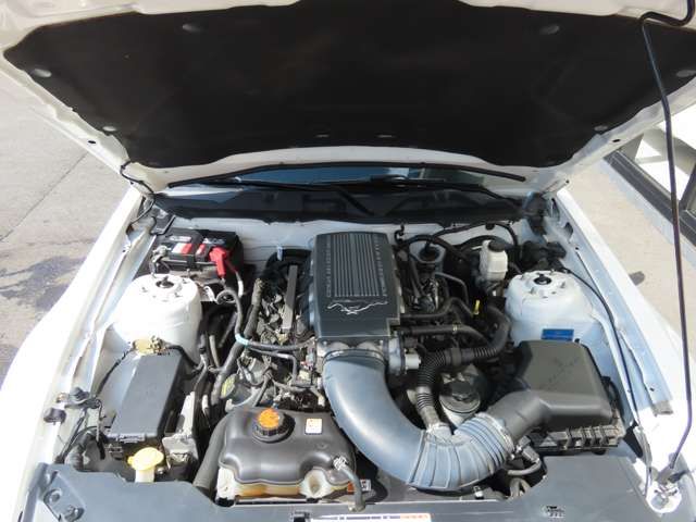 FORD MUSTANG OPEN 2010 Image 31