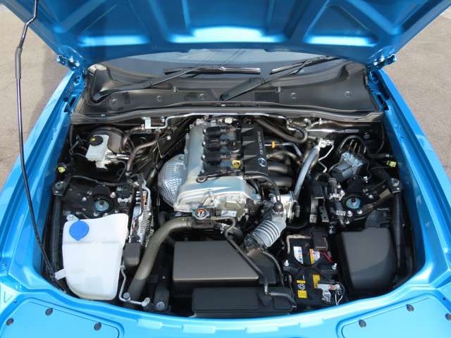 MITSUOKA ROCK STAR 2021 Image 31