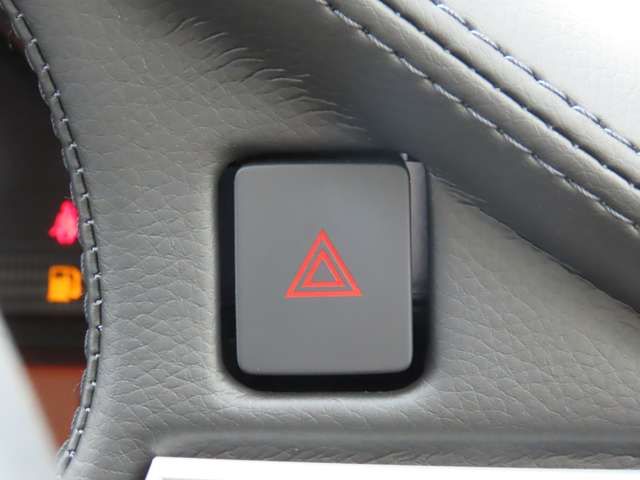 MITSUOKA VIEWT 2020 Image 31