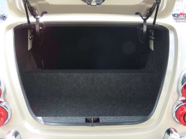 MITSUOKA VIEWT 2020 Image 31