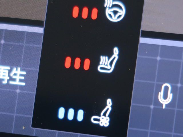 VOLVO XC90 2022 Image 31