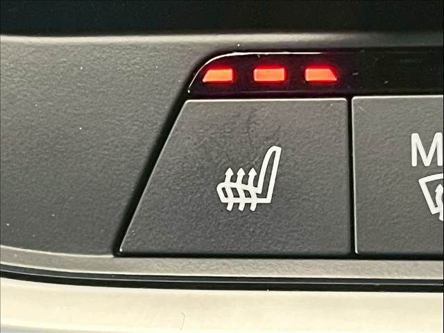 BMW X6 2021 Image 31