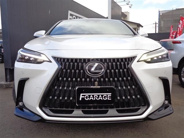 TOYOTA LEXUS NX350H AWD 2022 Image 31