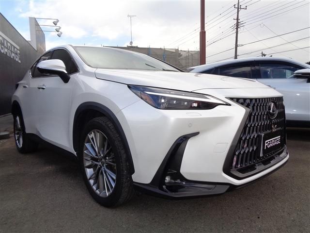 TOYOTA LEXUS NX350H AWD 2022 Image 31