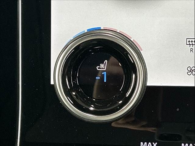 ROVER RANGE  VE 2021 Image 31