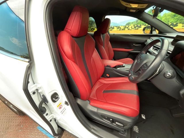 TOYOTA LEXUS UX200 2019 Image 31