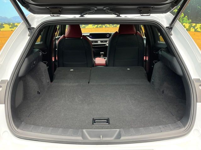 TOYOTA LEXUS UX200 2019 Image 31