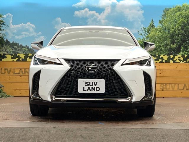 TOYOTA LEXUS UX200 2019 Image 31