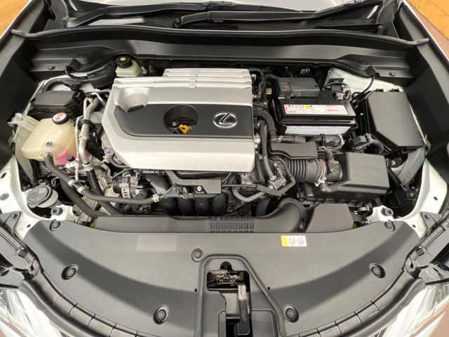 TOYOTA LEXUS UX200 2019 Image 31