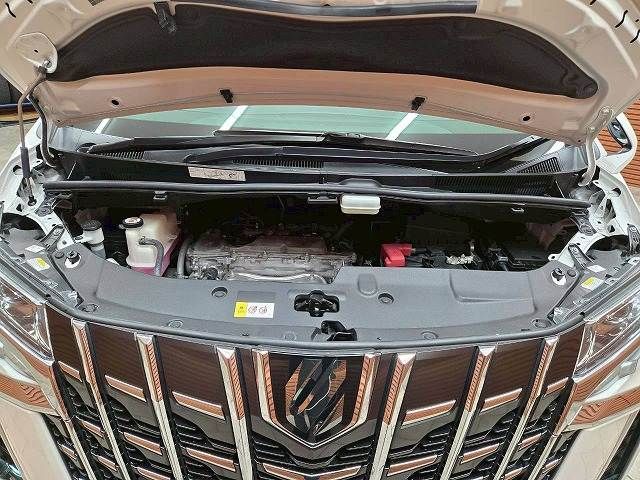 TOYOTA ALPHARD 2021 Image 31