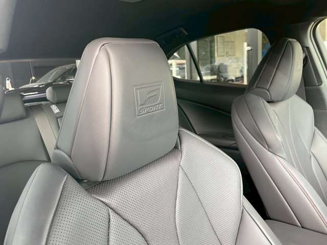 TOYOTA LEXUS UX250H AWD 2019 Image 31