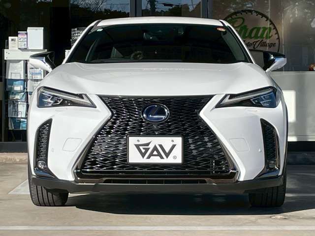 TOYOTA LEXUS UX250H AWD 2019 Image 31