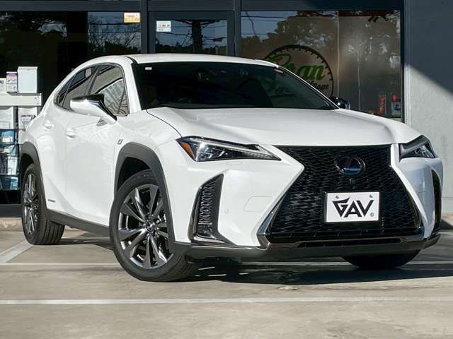 TOYOTA LEXUS UX250H AWD 2019 Image 31