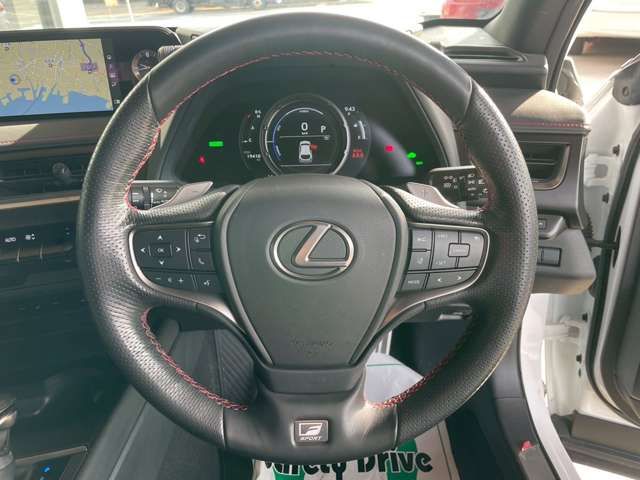 TOYOTA LEXUS UX250H AWD 2019 Image 31