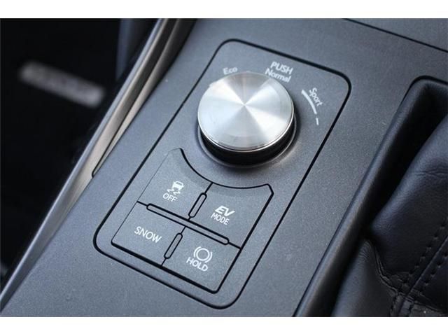 TOYOTA LEXUS IS300H 2021 Image 31