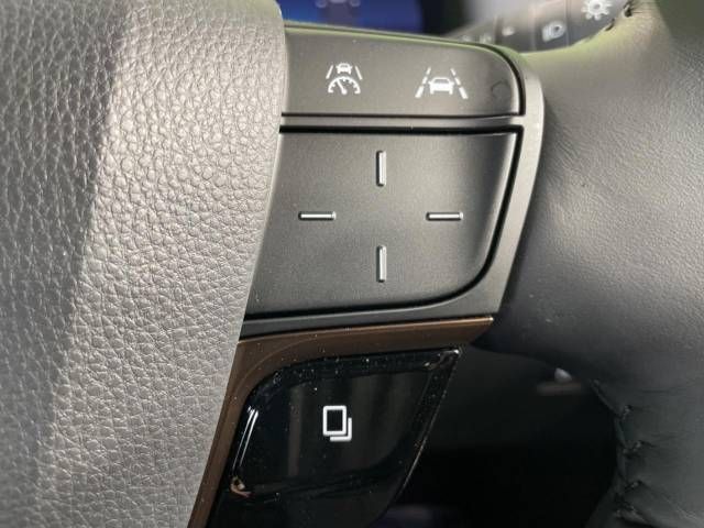 TOYOTA ALPHARD HYBRID 2024 Image 31