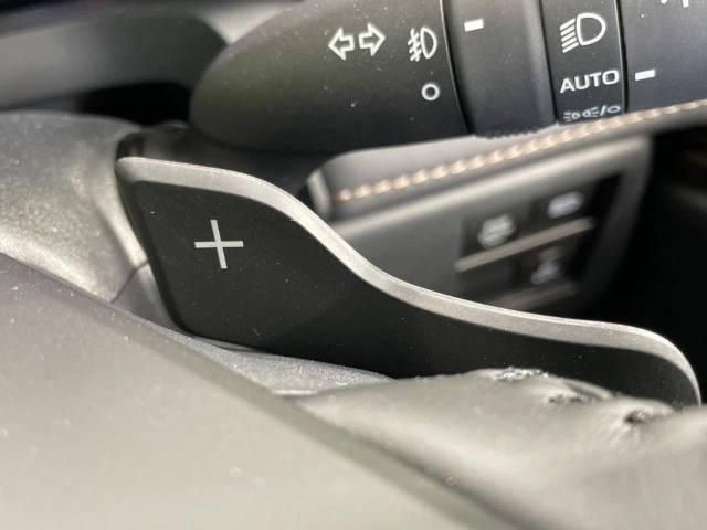 TOYOTA ALPHARD HYBRID 2024 Image 31