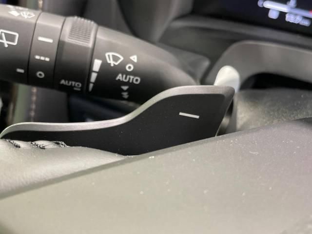 TOYOTA ALPHARD HYBRID 2024 Image 31