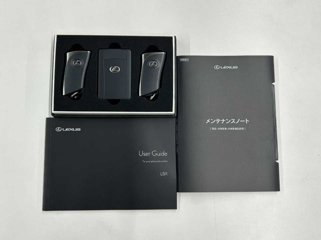 TOYOTA LEXUS LBX 2024 Image 31