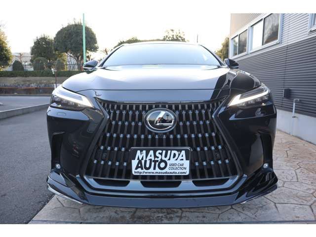 TOYOTA LEXUS NX250 2024 Image 31
