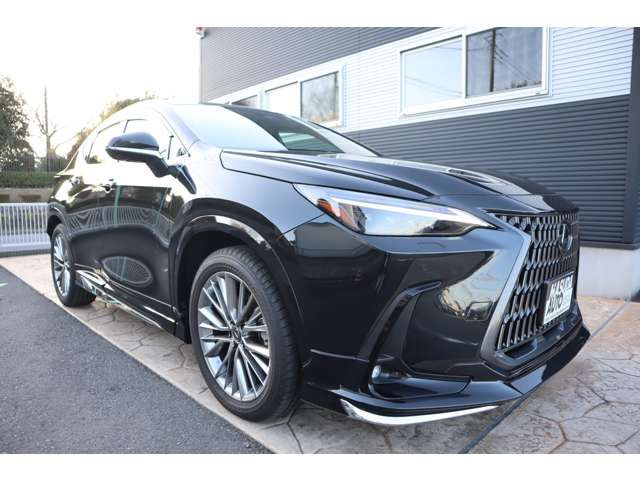 TOYOTA LEXUS NX250 2024 Image 31