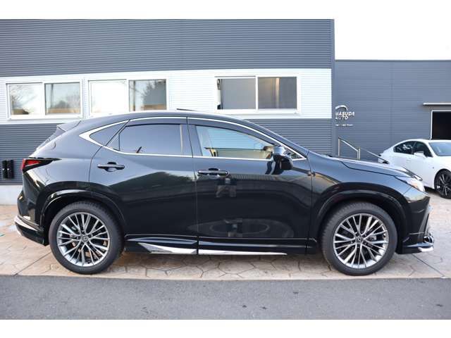 TOYOTA LEXUS NX250 2024 Image 31