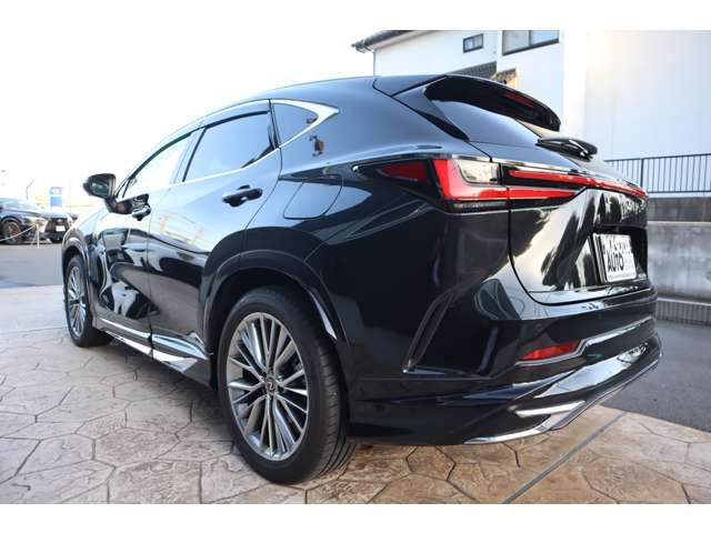TOYOTA LEXUS NX250 2024 Image 31