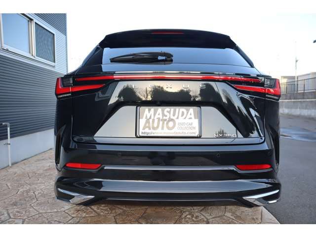 TOYOTA LEXUS NX250 2024 Image 31