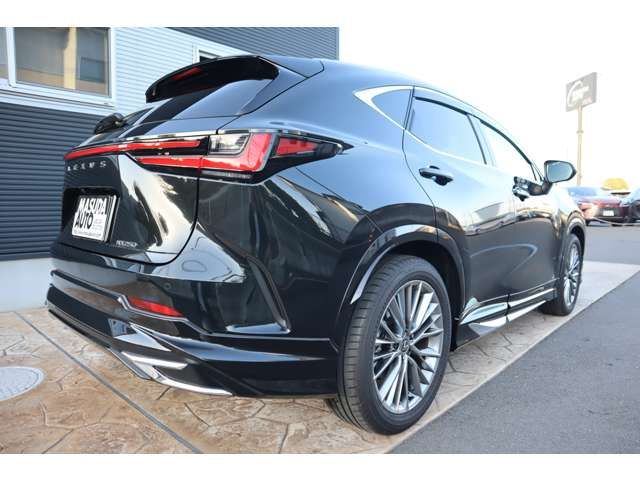 TOYOTA LEXUS NX250 2024 Image 31