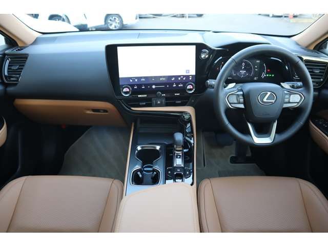 TOYOTA LEXUS NX250 2024 Image 31