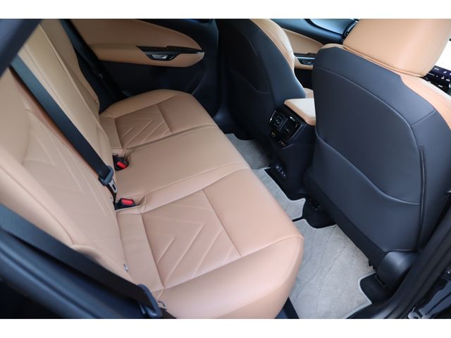 TOYOTA LEXUS NX250 2024 Image 31