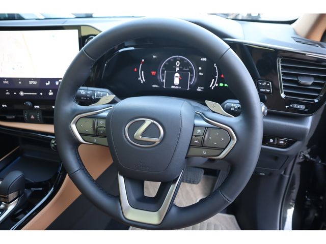 TOYOTA LEXUS NX250 2024 Image 31