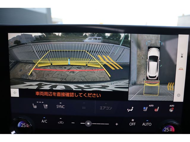 TOYOTA LEXUS NX250 2024 Image 31