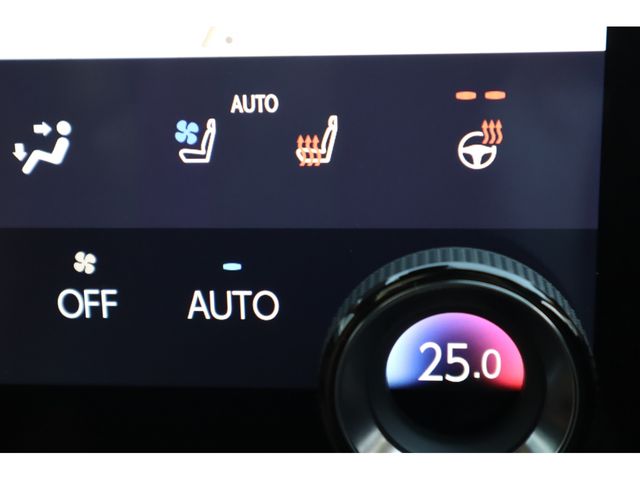 TOYOTA LEXUS NX250 2024 Image 31