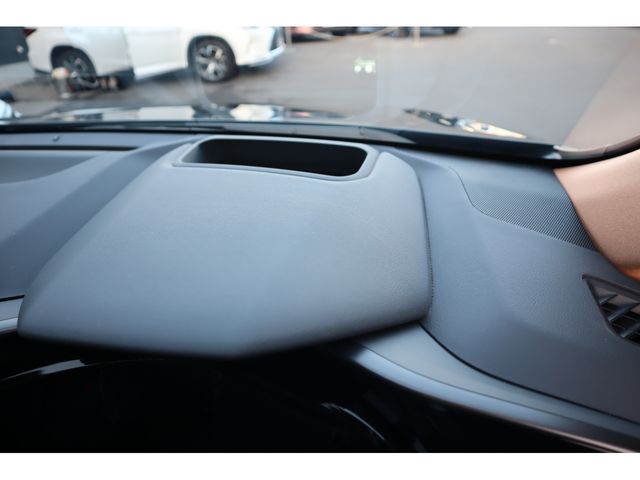 TOYOTA LEXUS NX250 2024 Image 31