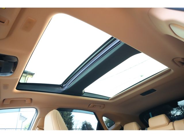 TOYOTA LEXUS NX250 2024 Image 31