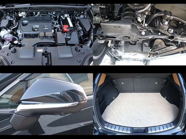 TOYOTA LEXUS NX250 2024 Image 31