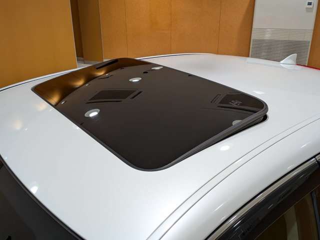 TOYOTA LEXUS LS460 2014 Image 31