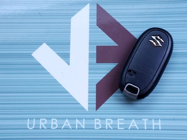 SUZUKI SOLIO 2016 Image 31