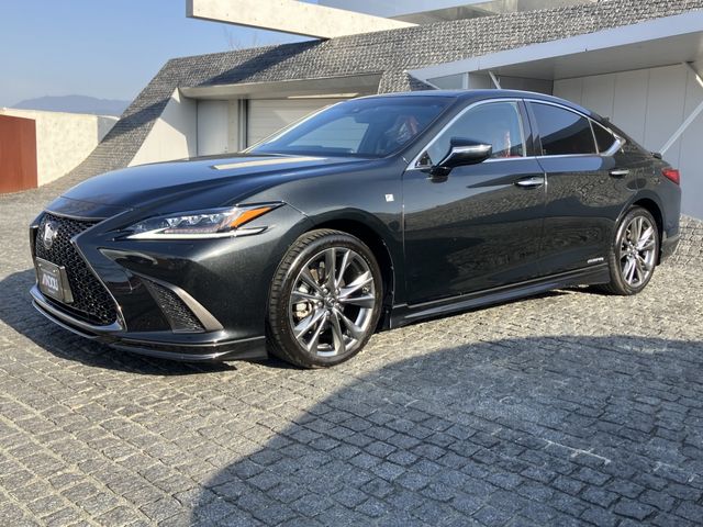 TOYOTA LEXUS ES300H 2020 Image 31