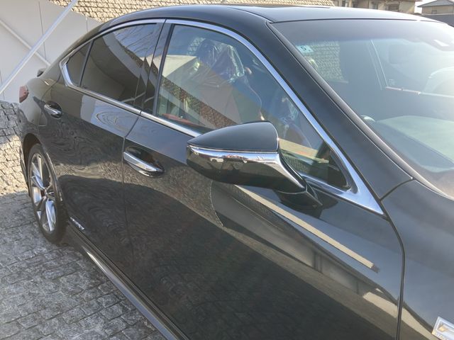 TOYOTA LEXUS ES300H 2020 Image 31