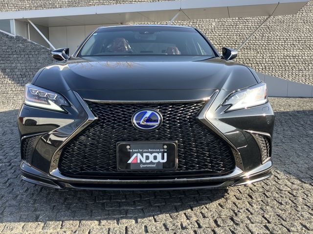 TOYOTA LEXUS ES300H 2020 Image 31