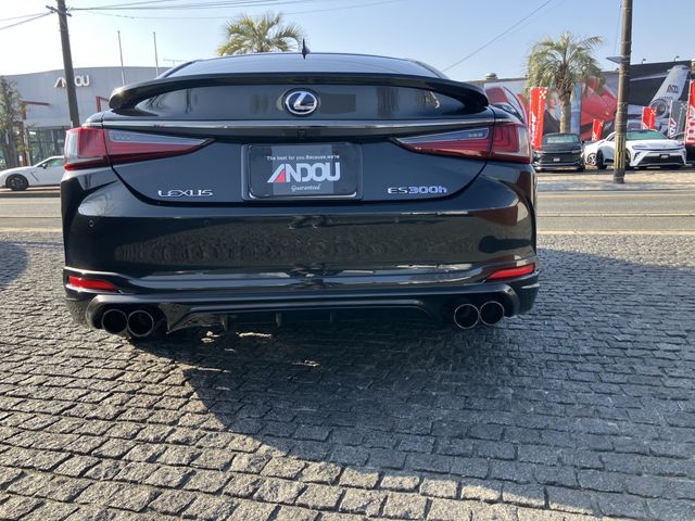 TOYOTA LEXUS ES300H 2020 Image 31