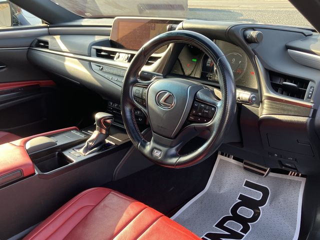 TOYOTA LEXUS ES300H 2020 Image 31