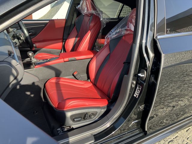 TOYOTA LEXUS ES300H 2020 Image 31