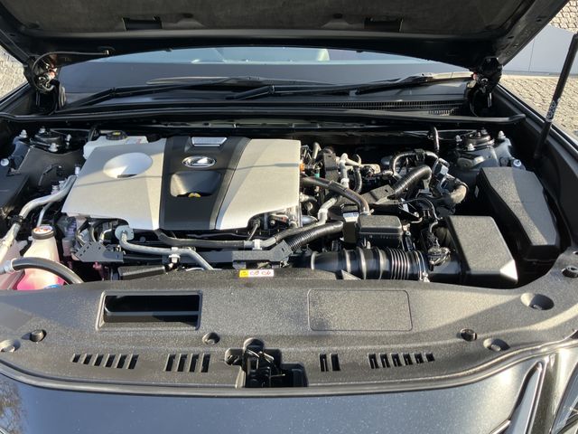 TOYOTA LEXUS ES300H 2020 Image 31