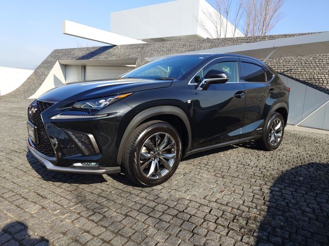 TOYOTA LEXUS NX300H 2018 Image 31