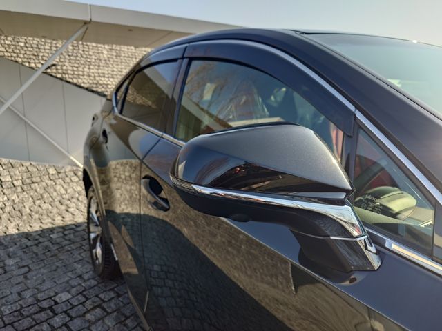 TOYOTA LEXUS NX300H 2018 Image 31